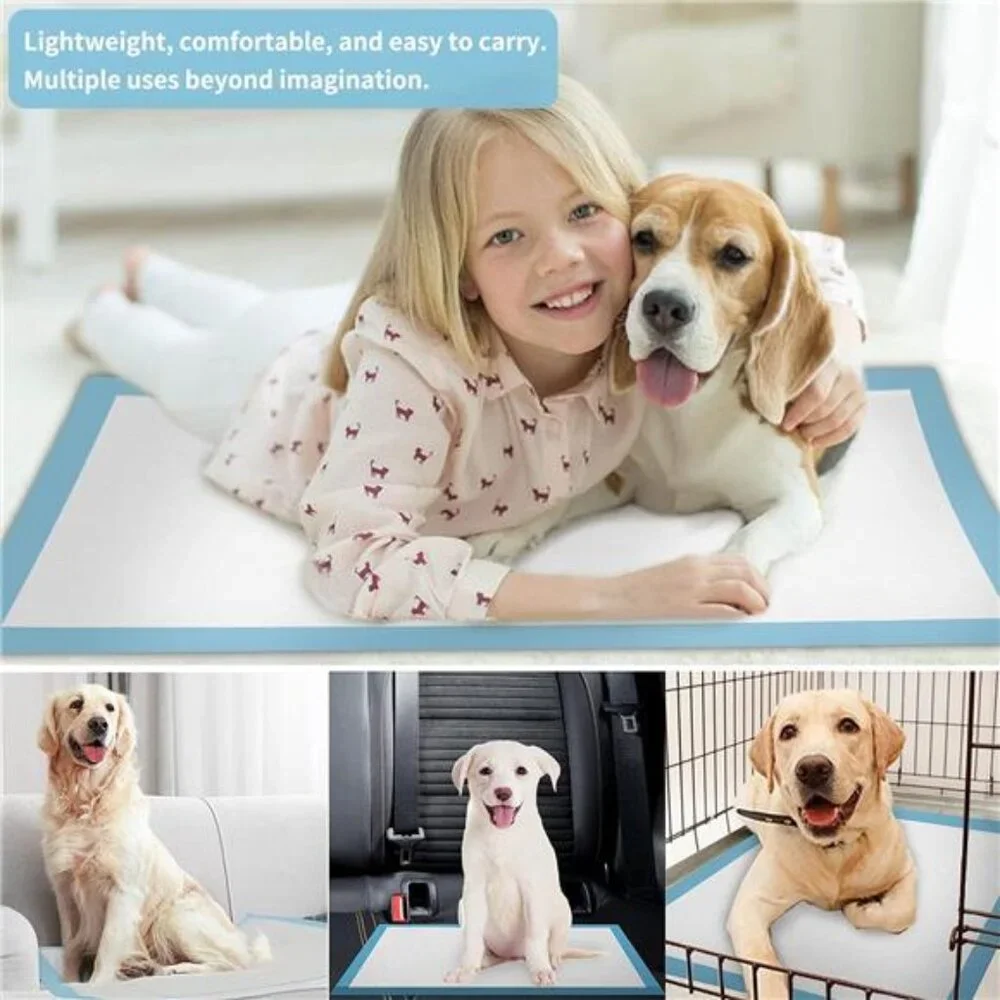 Puppy Pee Pads 22